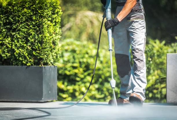 Animal Enclosure Cleaning in Galena, IL