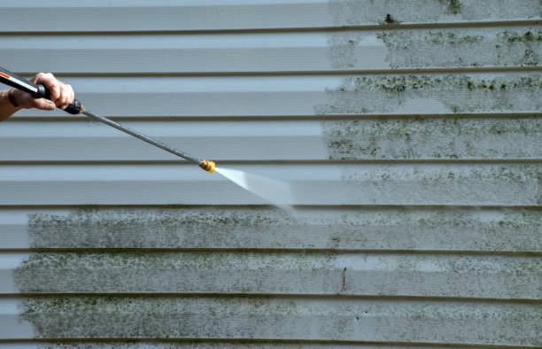 Best Solar Panel Cleaning  in Galena, IL
